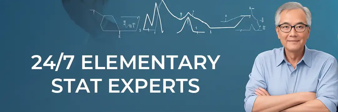 We-Have-24-7-Experts-Across-All-Elementary-Statistical-Theory-Topics